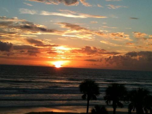 Daytona Condo With Beautiful Ocean And City View Daytona Beach Eksteriør billede